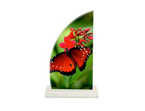 Kristal foto plaket, plaket, ödül baskı jpg