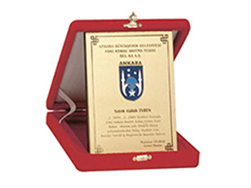 Plaket, ödül jpg