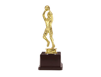 Plaket, ödül jpg