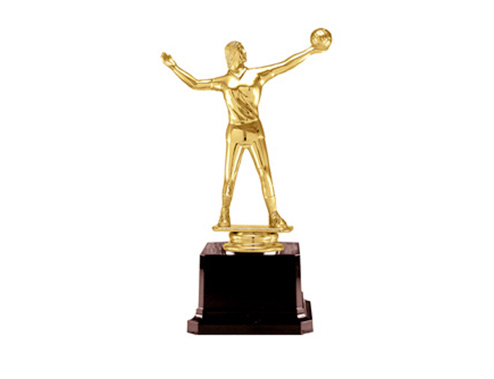 Plaket, ödül jpg